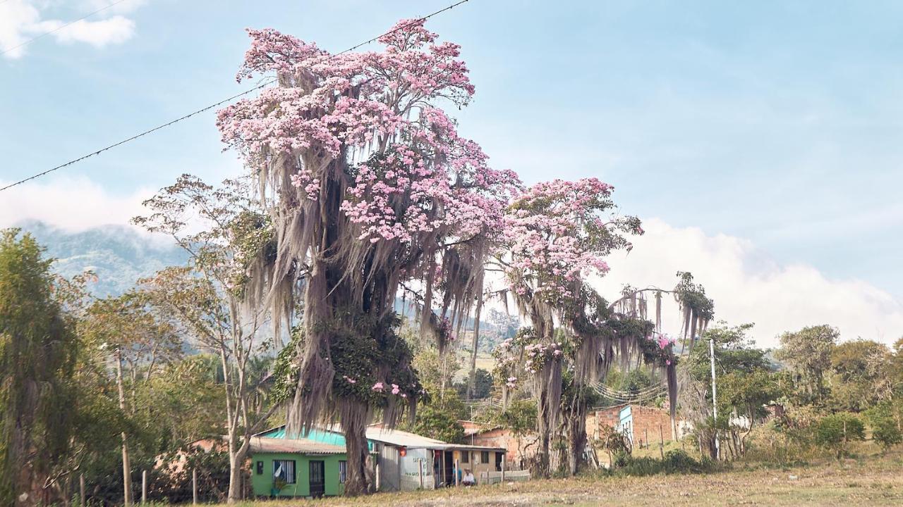 Macua Villa Chipata Luaran gambar