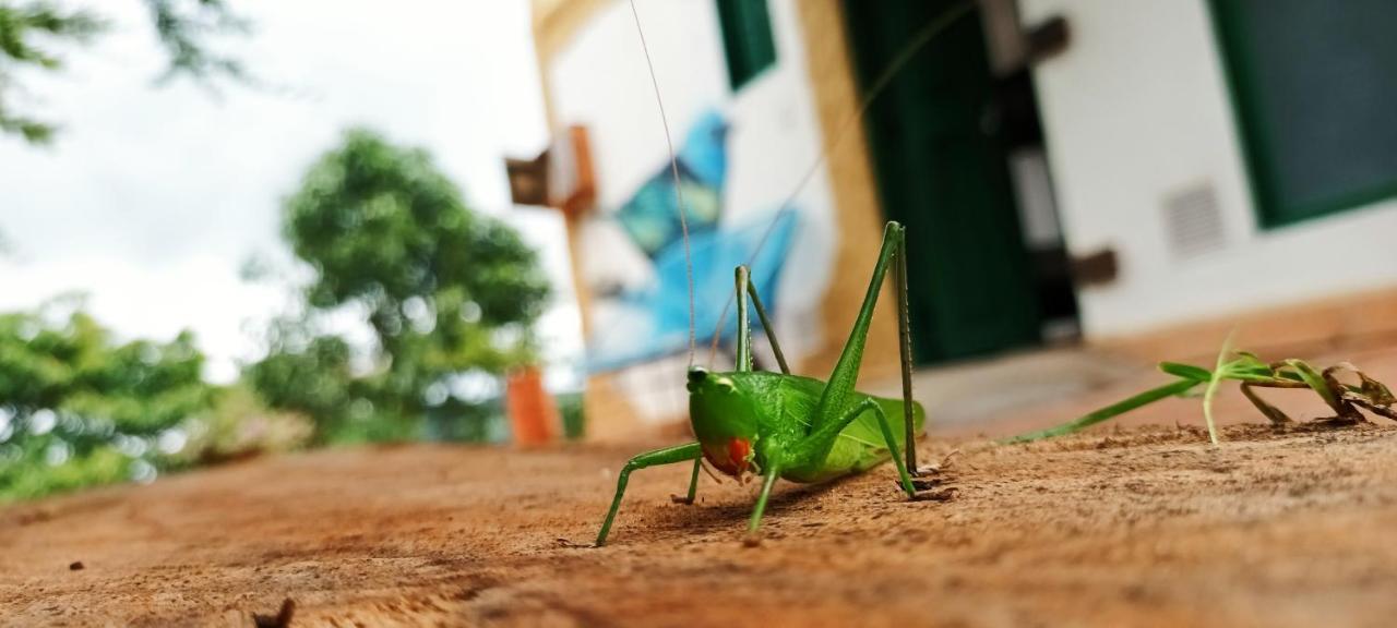 Macua Villa Chipata Luaran gambar